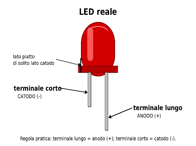 LED reale con indicazione di anodo e catodo.